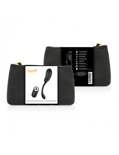 COQUETTE CHIC DESIRE OEUF VIBRANT TÉLÉCOMMANDE RECHARGEABLE NOIR/OR