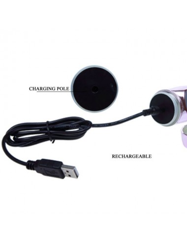 BAILE - VIBRATEUR RECHARGEABLE AVEC STIMULATEUR DE PAPILLON ROTATION ET THROBBING