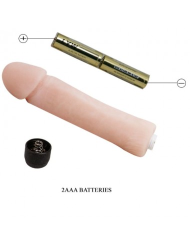 BAILE - VIBRATEUR GODE LOVE COMPANION 25 CM