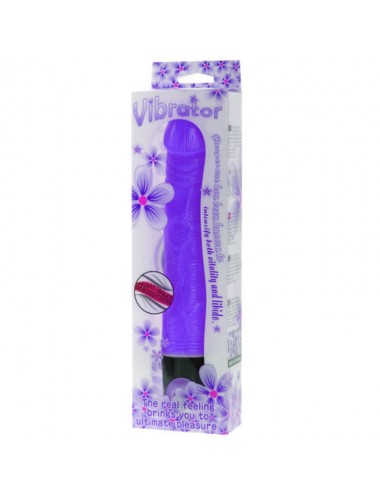 BAILE VIBRATOR MULTI-SPEED 21.5 CM PURPLE