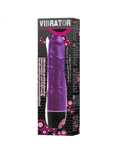 BAILE - VIBRATEUR MULTIVITESSES LILAS