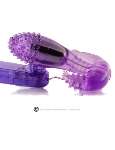 BAILE - STIMULATEUR VAGINAL ET ANAL LILAS AVEC VIBRATION