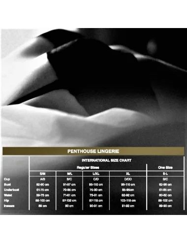 PENTHOUSE - STRING OPEN SECRET ROSE L/XL