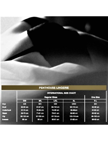 PENTHOUSE - BE MINE TEDDY NOIR S/M/L