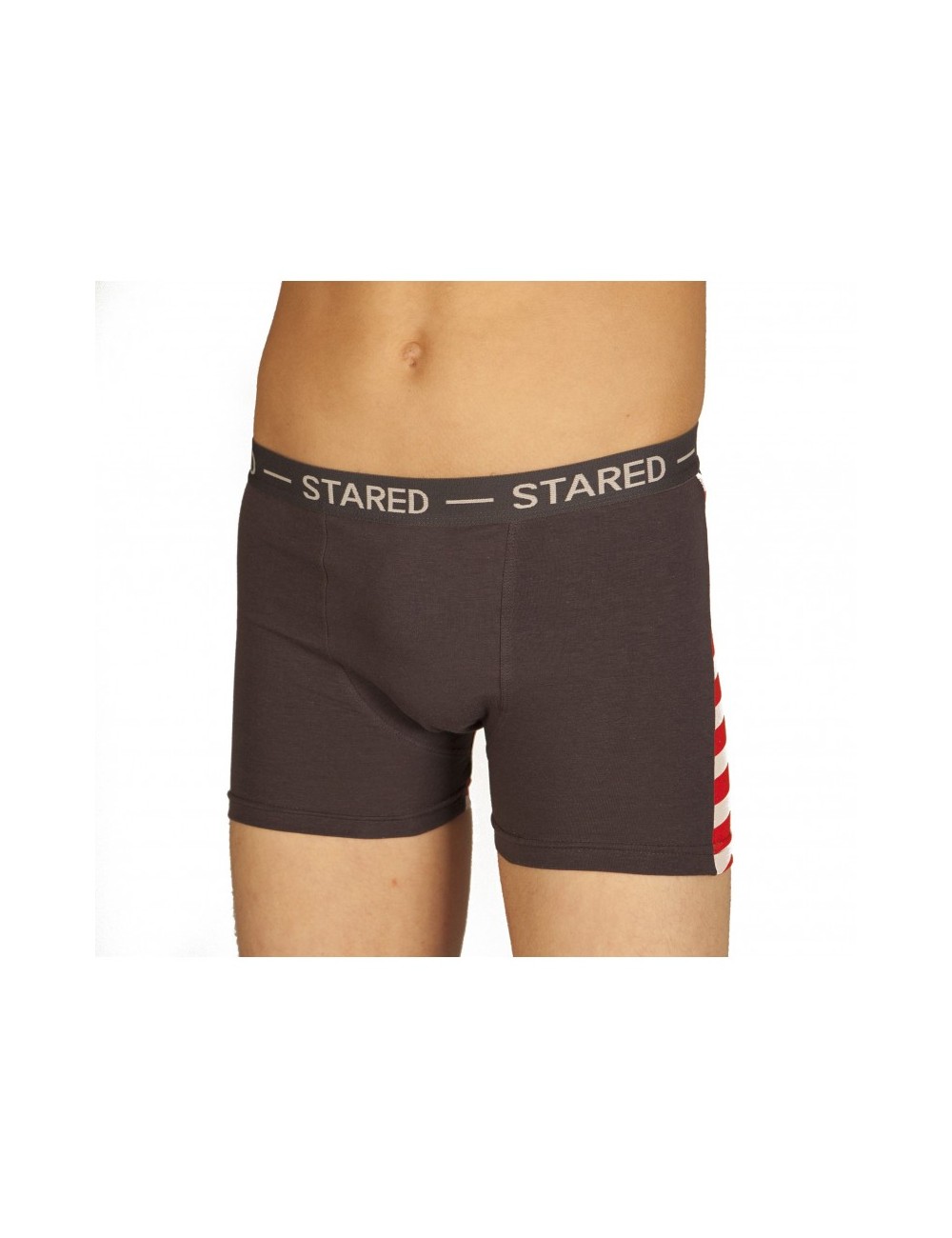 Boxer USA gris