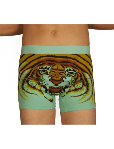 Boxer tigre vert