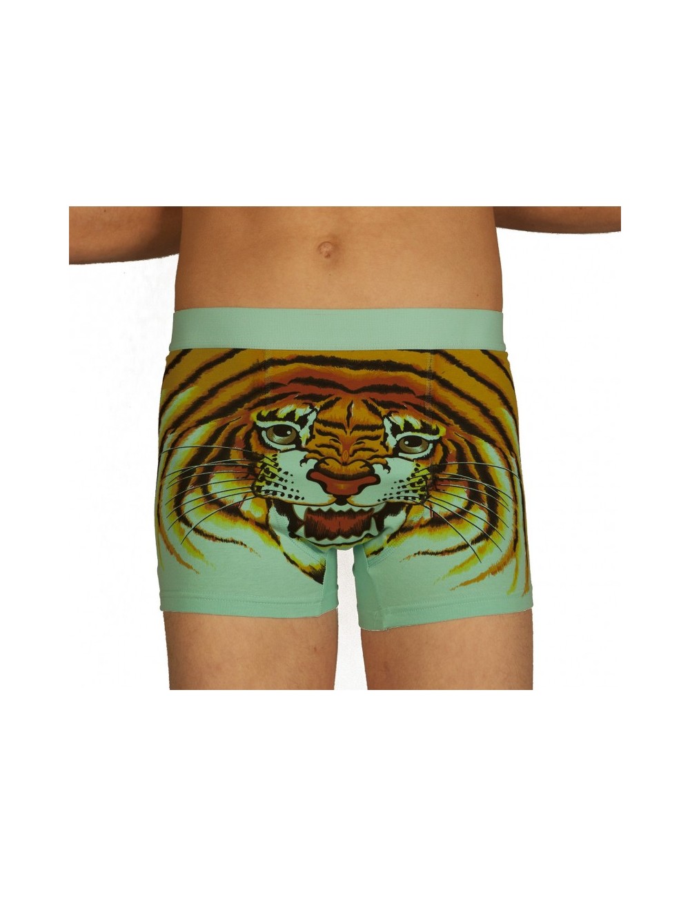 Boxer tigre vert