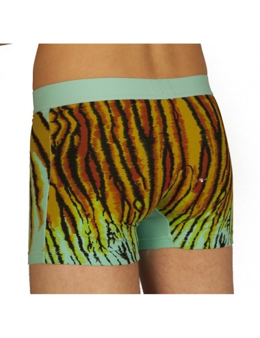 Boxer tigre vert