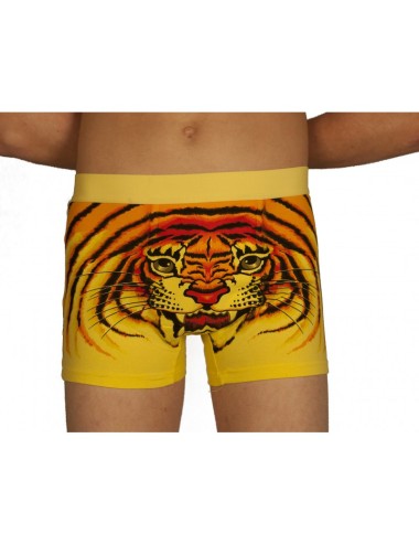 Boxer tigre jaune