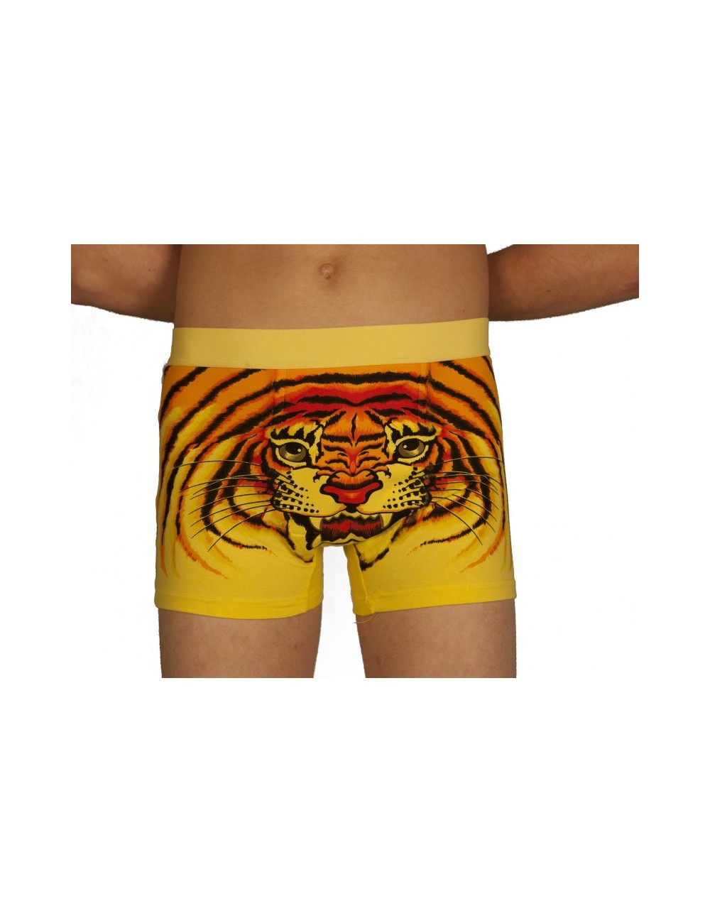 Boxer tigre jaune