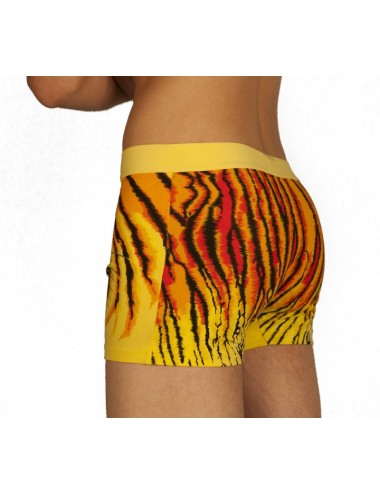 Boxer tigre jaune