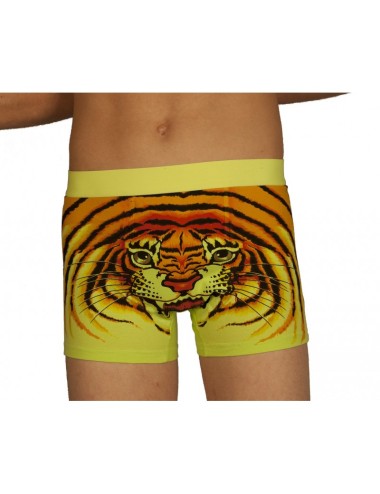 Boxer tigre fluo