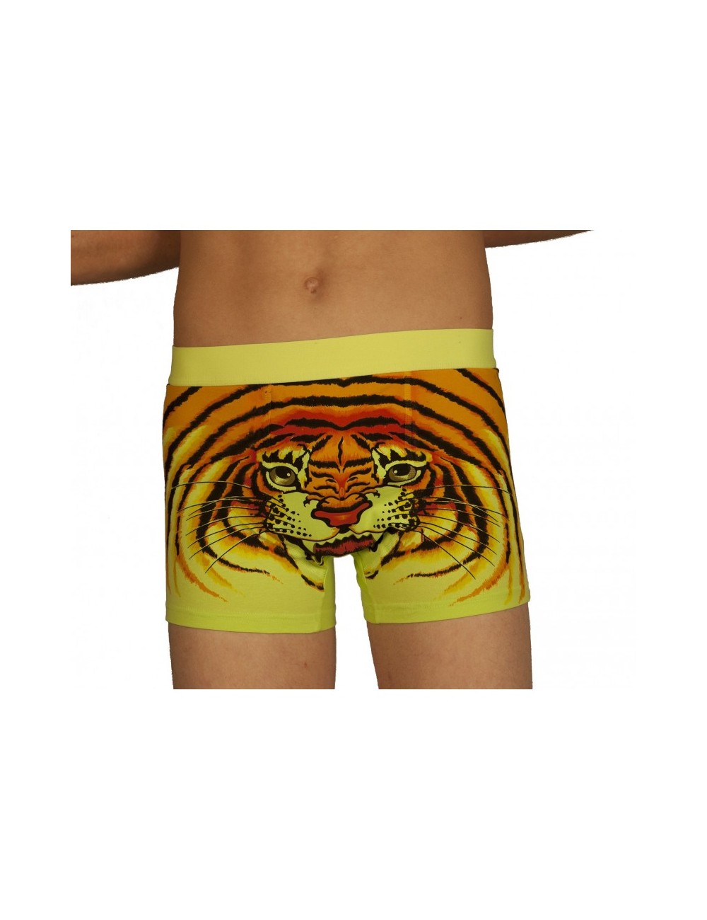 Boxer tigre fluo