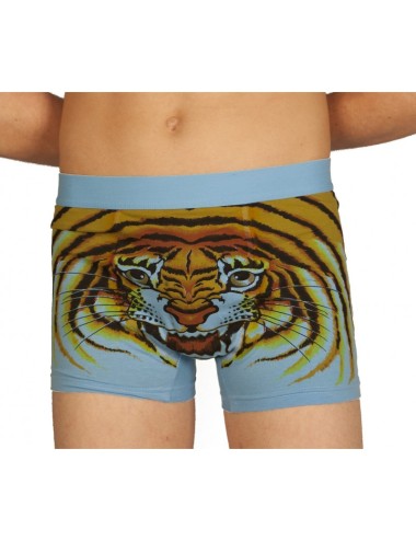 Boxer tigre bleu