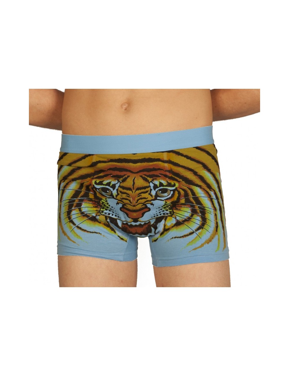 Boxer tigre bleu