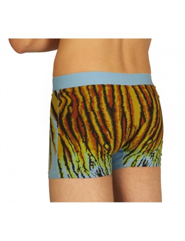 Boxer tigre bleu