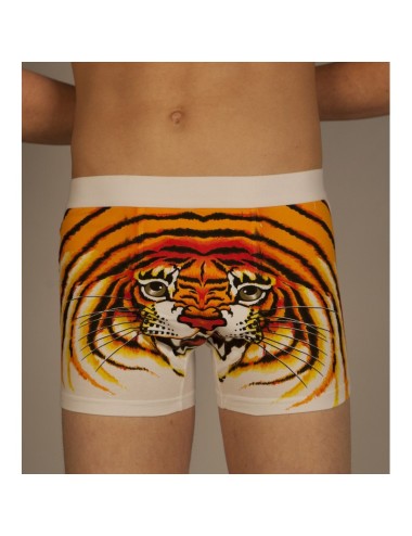 Boxer tigre blanc