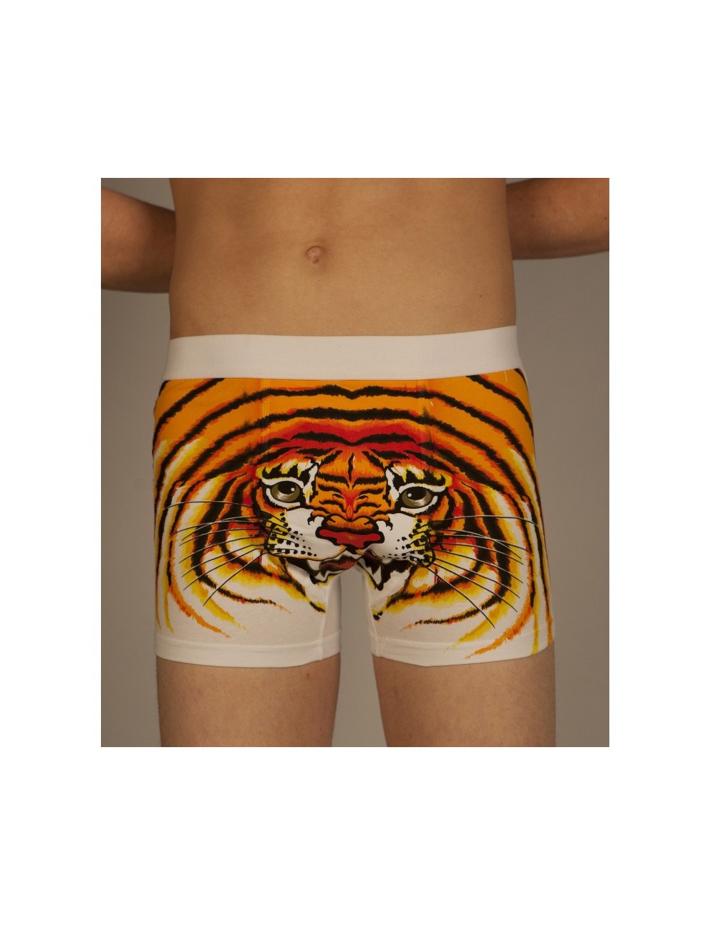 Boxer tigre blanc