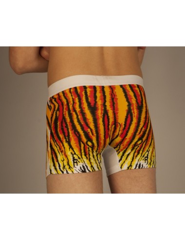 Boxer tigre blanc