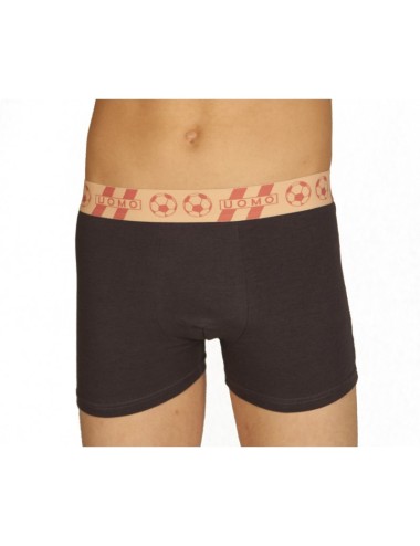 Boxer football gris