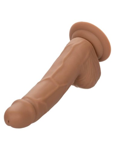 CLOUS EN SILICONE CALIFORNIA EXOTICS 15,24 CM MARRON