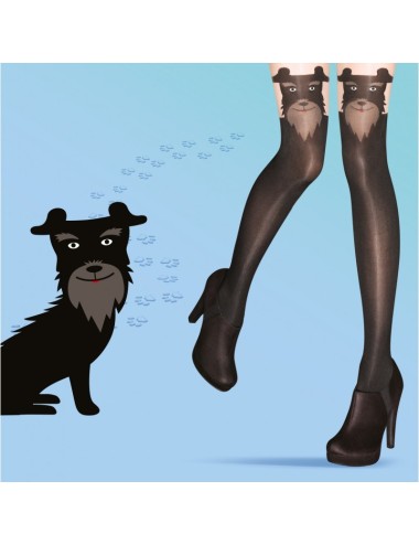 Collants chien