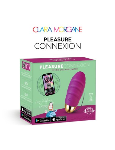 Pleasure connexion Violet - Oeuf vibrant