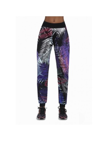 Jamaica pantalon sport multicolore