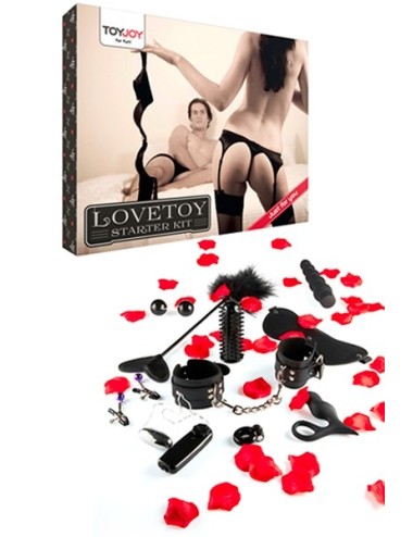 Lovetoy starter kit