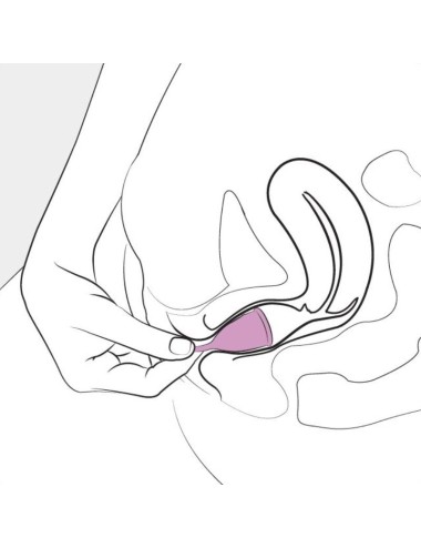 FEMINTIMATE - COUPE MENSTRUELLE EN SILICONE EVE TAILLE L