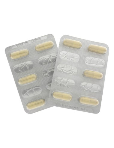 HOT - EXXTREME LIBIDO CAPS FEMME 10 PCS