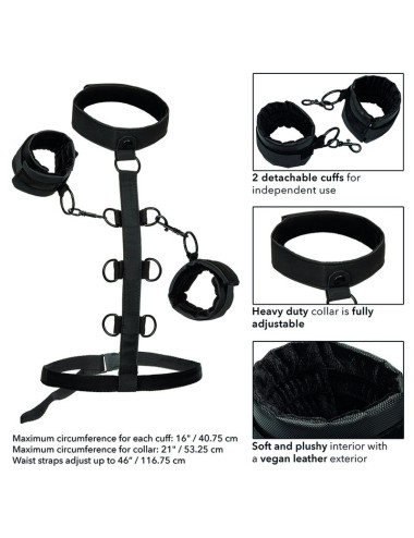 CALIFORNIA EXOTICS - BOUNDLESS COLLIER DE RETENUE