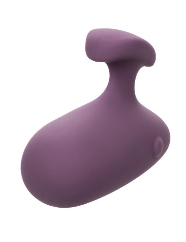 CALIFORNIA EXOTICS - STIMULATEUR MOD TOUCH VIOLET