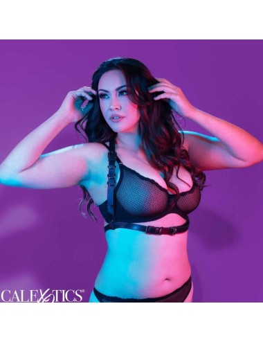 CALIFORNIA EXOTICS - EUPHORIA HARNAIS  BOUCLE LICOL TAILLE PLUS NOIR