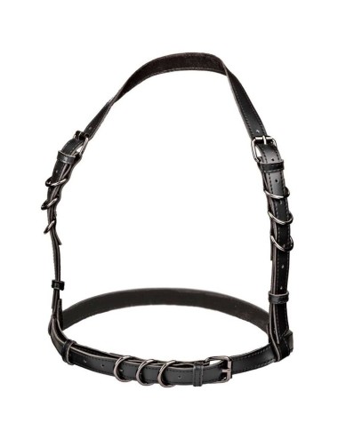 CALIFORNIA EXOTICS - EUPHORIA HARNAIS  BOUCLE LICOL TAILLE PLUS NOIR