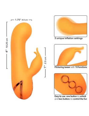 CALEXOTICS - VIBRATEUR MONTECITO MUSE LAPIN ORANGE PAR CALIFORNIA DREAMING