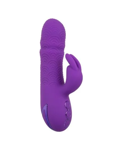 CALEXOTICS - VIBRATEUR MANHATTAN BEACH MARVEL RABBIT VIOLET PAR CALIFORNIA DREAMING