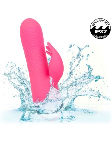 CALEXOTICS - VIBRATEUR SACRAMENTO SWEETIE LAPIN ROSE PAR CALIFORNIA DREAMING