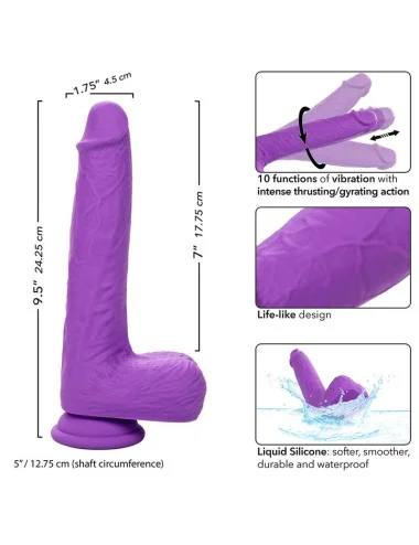 CALEXOTICS - STUDS VIBRATEUR RECHARGEABLE ET ROTATIF 10 VIBRATIONS VIOLET