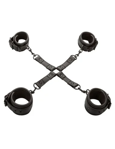 CALEXOTICS - NOCTURNAL CONNECTEUR TIE HOG CUERO AJUSTABLE NOIR