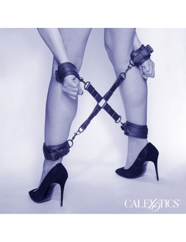 CALEXOTICS - NOCTURNAL CONNECTEUR TIE HOG CUERO AJUSTABLE NOIR