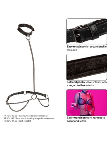 CALEXOTICS - EUPHORIA COLLIER ET LAISSE CHAINE