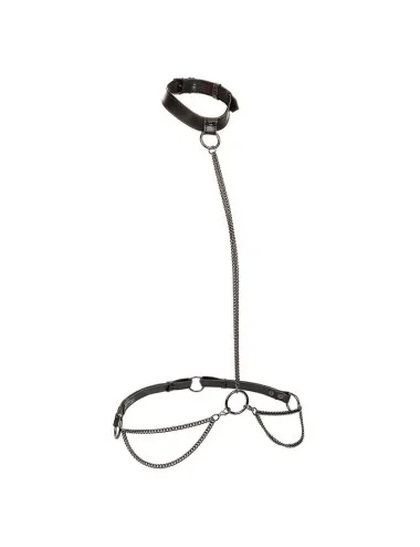 CALEXOTICS - EUPHORIA COLLIER LICOL ET LAISSE GRANDE TAILLE