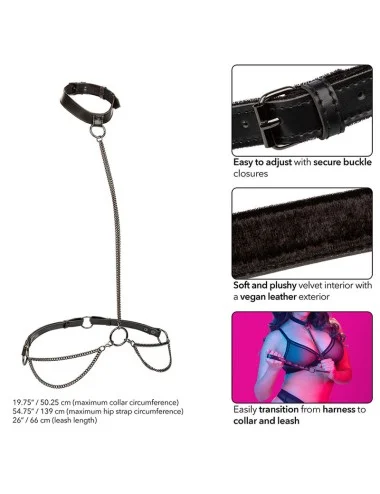 CALEXOTICS - EUPHORIA COLLIER LICOL ET LAISSE GRANDE TAILLE
