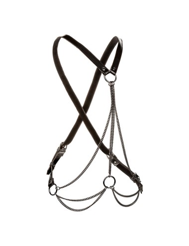 CALEXOTICS - EUPHORIA HARNAIS MULTICHAÎNE PREMIUM GRANDE TAILLE