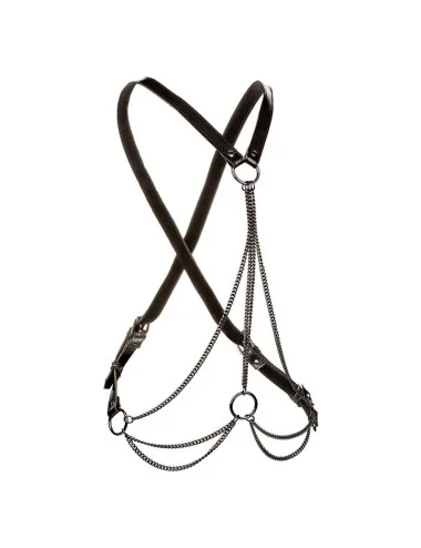 CALEXOTICS - EUPHORIA HARNAIS MULTICHAÎNE PREMIUM GRANDE TAILLE
