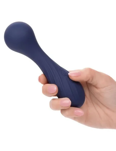 CALEXOTICS - CHARISMA TEMPTATION MASSEUR 12 FONCTIONS VIOLET