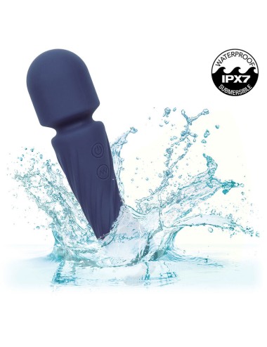 CALEXOTICS - CHARISMA ALLURE MASSEUR DOUBLE MOTEURS 12 FONCTIONS 17,25 CM X 4,5 CM VIOLET