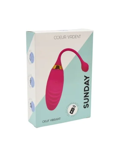 SUNDAY, Un Œuf vibrant USB avec télécommande, dans un silicone médical doux et rainuré - B21PNK
