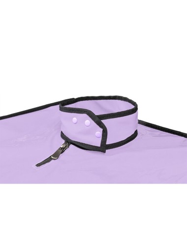 SECRET DOME - KINK CLUB LA NICHE CABINE VIOLET